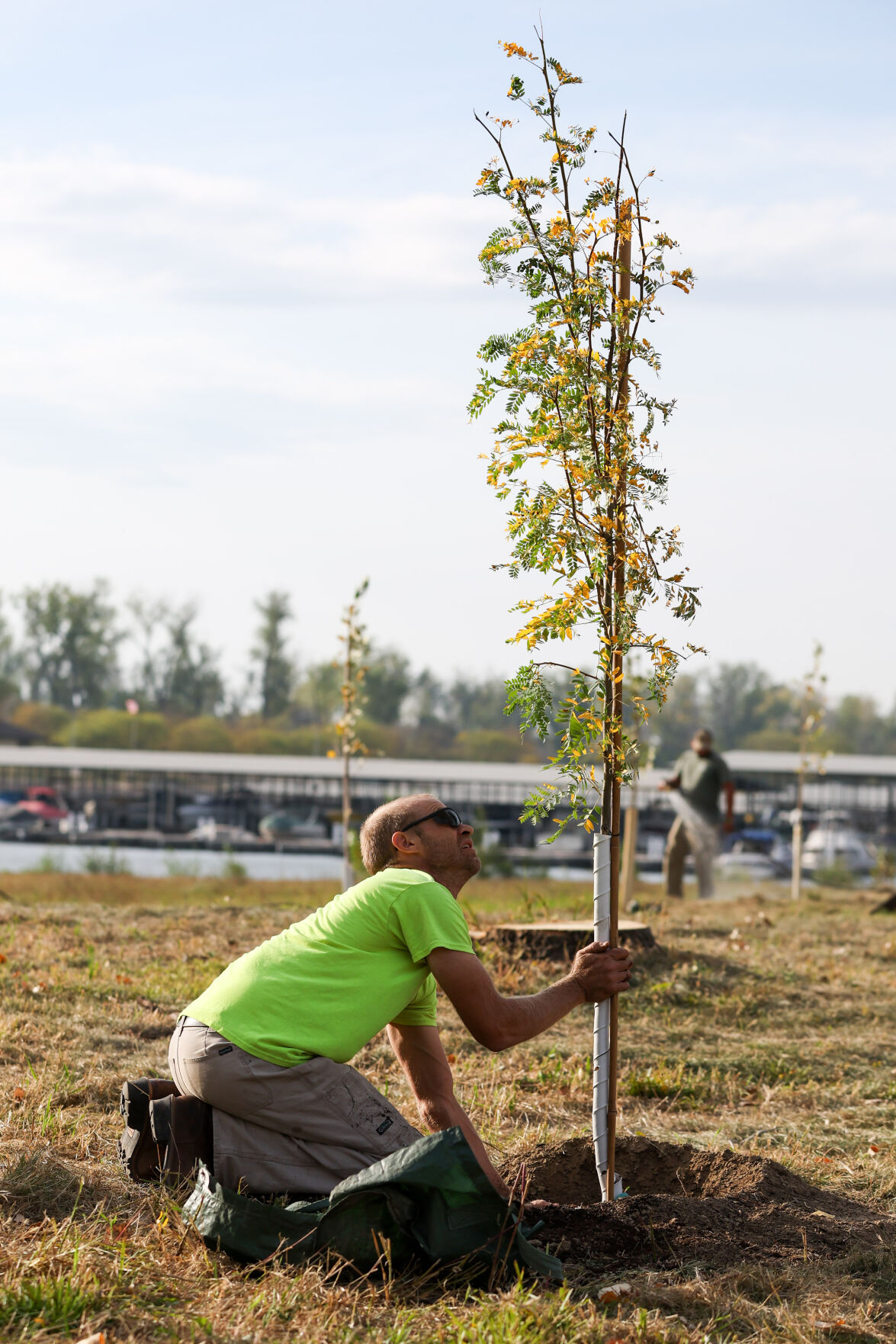 100423-owh-new-forest-02.JPG